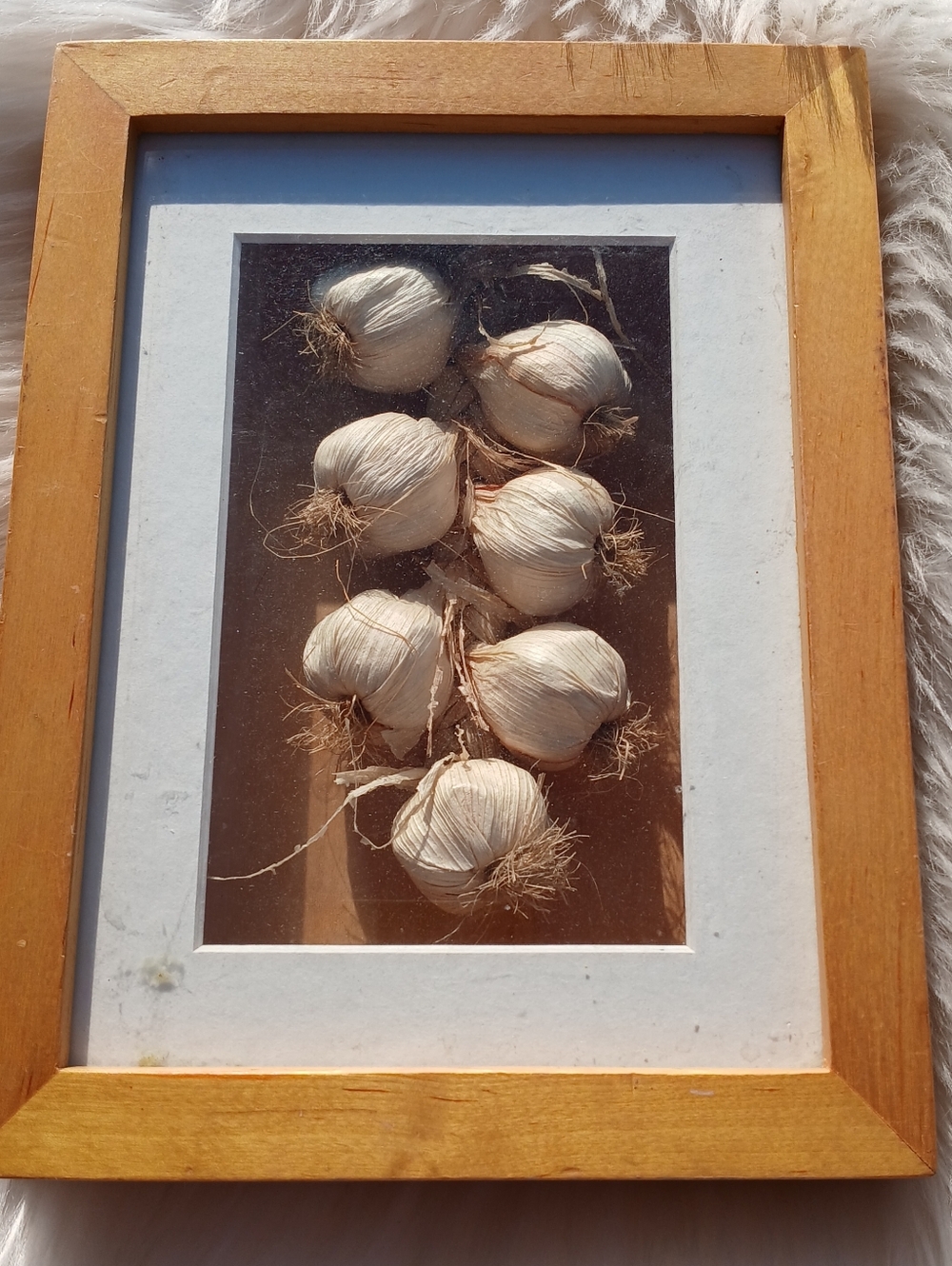 Garlic Bulbs Framed Art Kitchen Decor Wall Hanging Frame Shadow Box Decoration